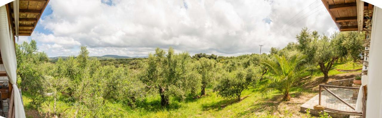 Hakuna Matata Holidays Wooden Lodge With Airco & Pool In Greek Olive Grove Methoni  Exterior photo